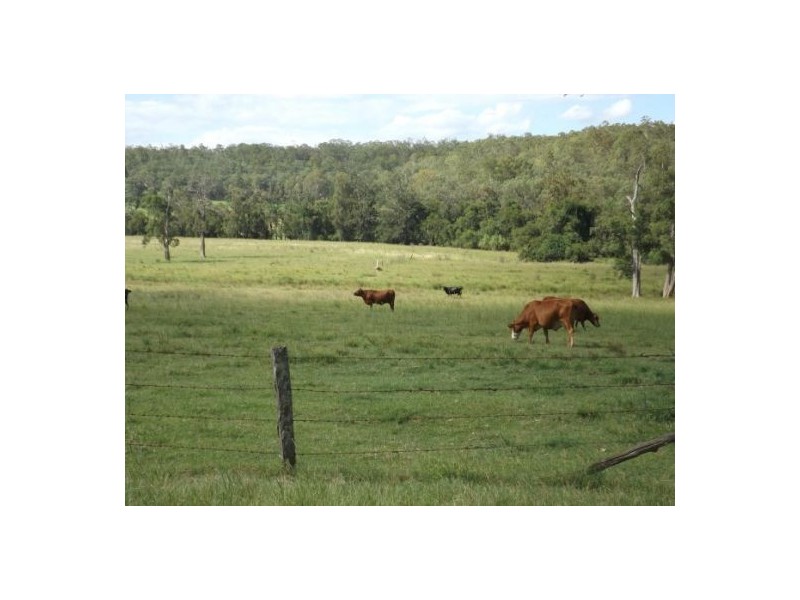 981 old dyrabba road, Casino NSW 2470