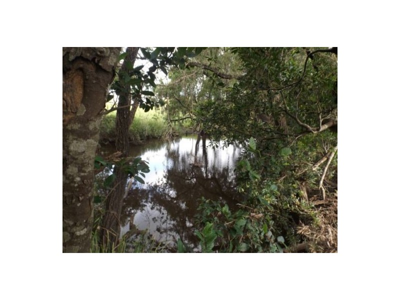 981 old dyrabba road, Casino NSW 2470