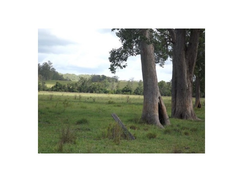 981 old dyrabba road, Casino NSW 2470