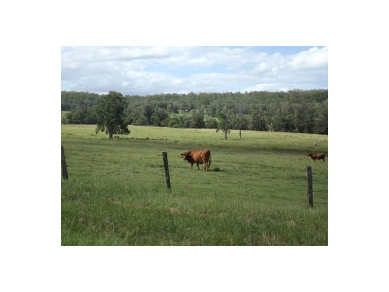 981 old dyrabba road, Casino NSW 2470