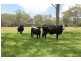 Lot 36 Tenterfield Street Liston Via, Stanthorpe QLD 4380