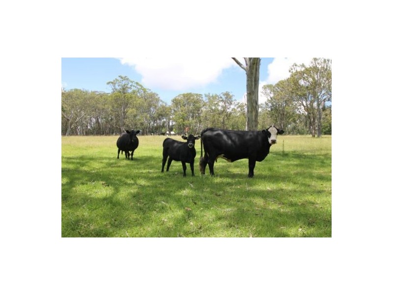 Lot 36 Tenterfield Street Liston Via, Stanthorpe QLD 4380