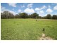 Lot 36 Tenterfield Street Liston Via, Stanthorpe QLD 4380
