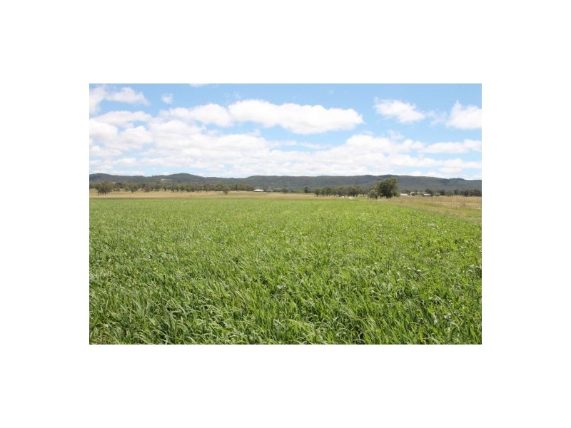 964 Bruxner Highway, Tenterfield NSW 2372