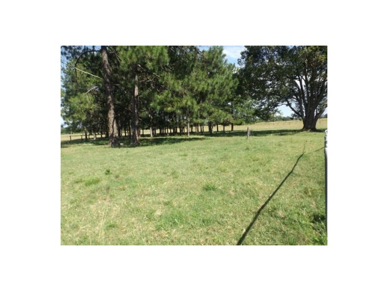 240 Mongogarie road, Casino NSW 2470