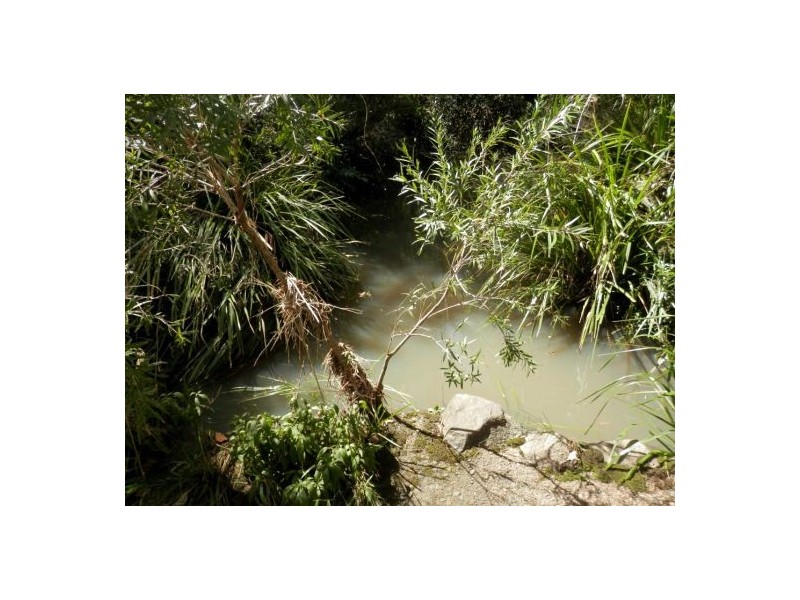 1448 Plains Station Rd, Tabulam NSW 2469