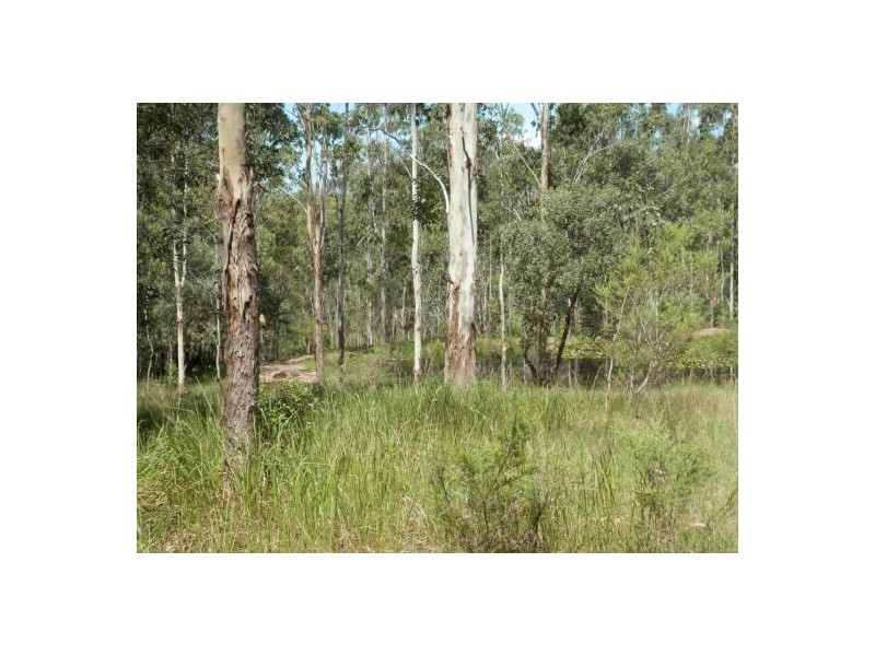 1448 Plains Station Rd, Tabulam NSW 2469