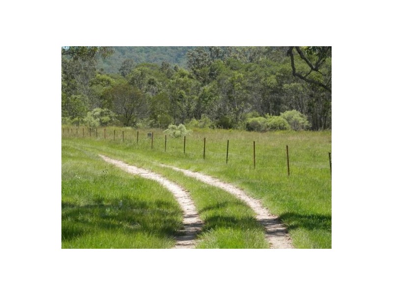 1448 Plains Station Rd, Tabulam NSW 2469