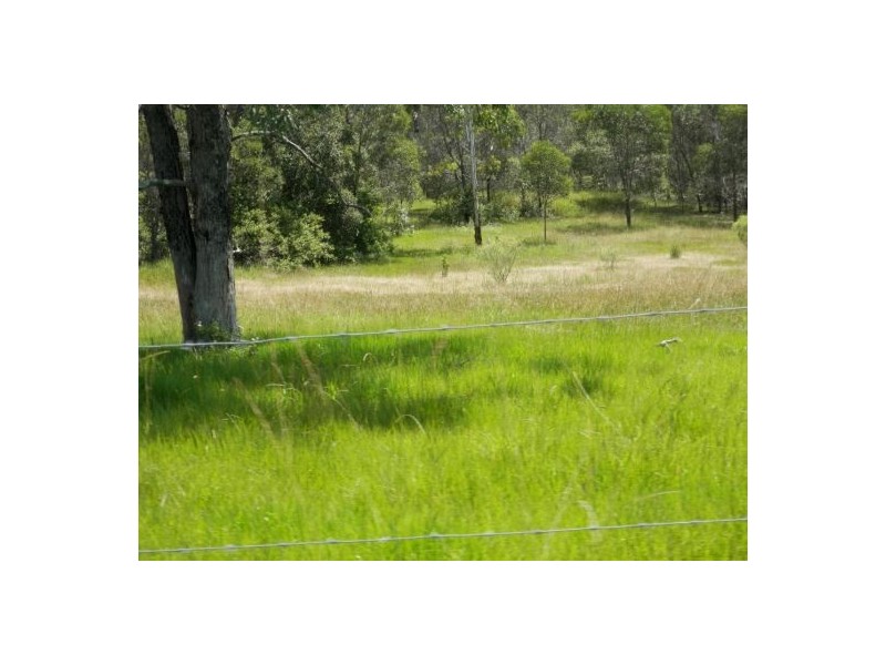1448 Plains Station Rd, Tabulam NSW 2469