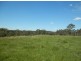 1448 Plains Station Rd, Tabulam NSW 2469
