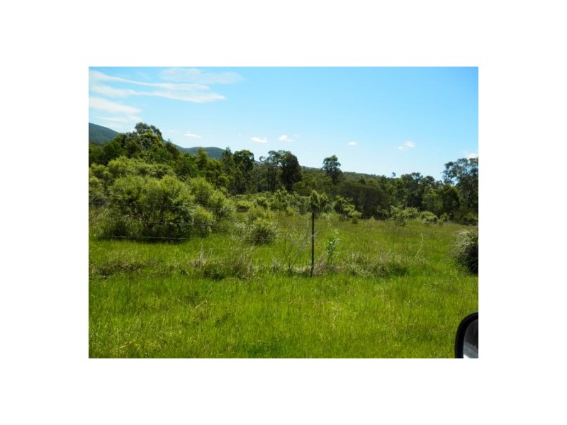 1448 Plains Station Rd, Tabulam NSW 2469
