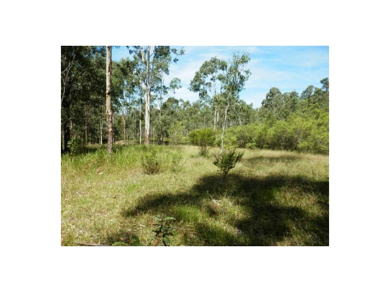 1448 Plains Station Rd, Tabulam NSW 2469