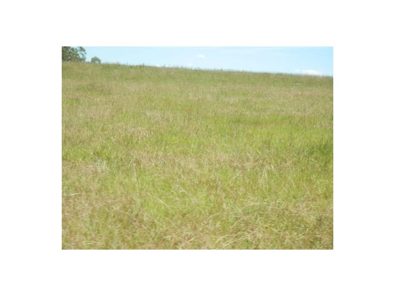 1448 Plains Station Rd, Tabulam NSW 2469