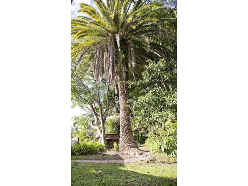 21 Esmonde St, Girards Hill NSW 2480