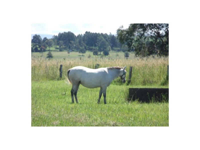 124 Naughtons Gap Road, Casino NSW 2470