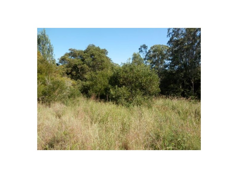 Lot 4 Fairfield St, Drake NSW 2469