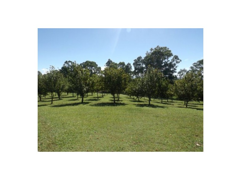 657 Old Dyraaba Road Casino, Casino NSW 2470