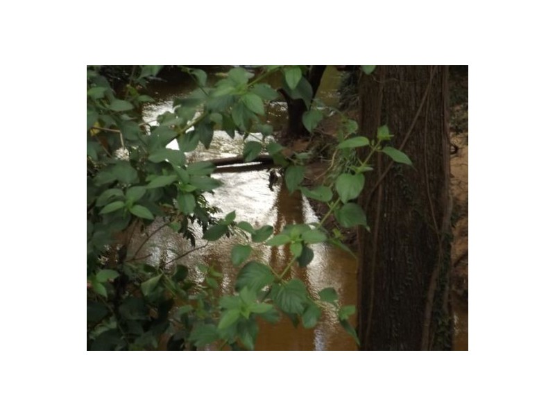 295 Marks Road Leeville, Casino NSW 2470