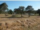 Lots 2 & 3 Bruxner Highway, Drake NSW 2469