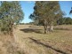 Lots 2 & 3 Bruxner Highway, Drake NSW 2469