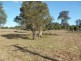 Lots 2 & 3 Bruxner Highway, Drake NSW 2469
