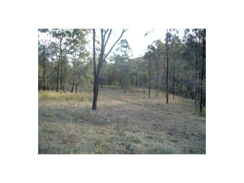 Lot 165 Armidale Rd, Blaxlands Creek NSW 2460