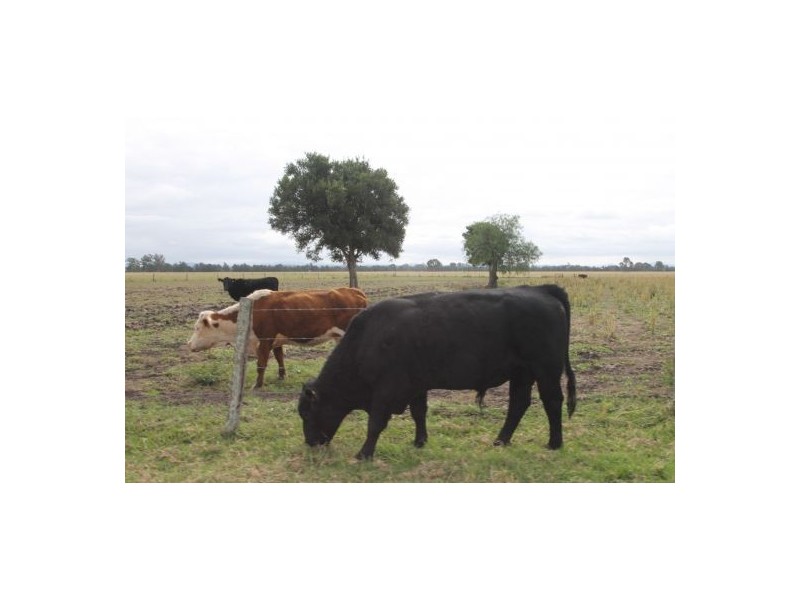 155 Strongs  Road Fairy Hill, Casino NSW 2470