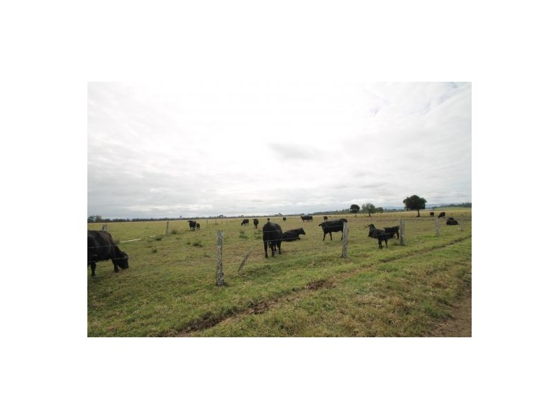 155 Strongs  Road Fairy Hill, Casino NSW 2470