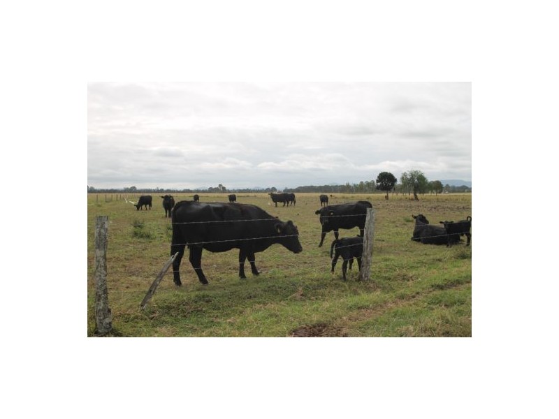 155 Strongs  Road Fairy Hill, Casino NSW 2470