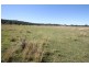 981a Old Dyraaba Road, Lower Dyraaba NSW 2470