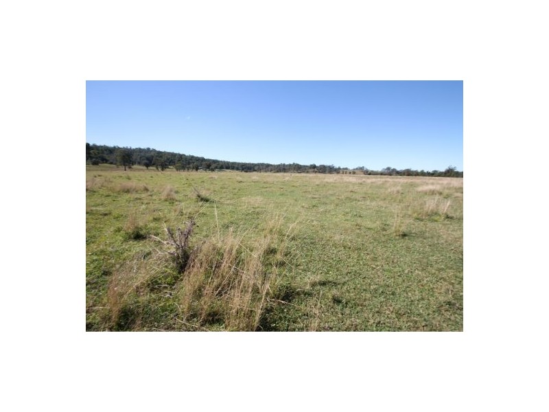 981a Old Dyraaba Road, Lower Dyraaba NSW 2470