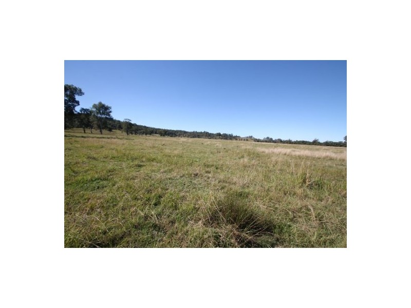 981a Old Dyraaba Road, Lower Dyraaba NSW 2470