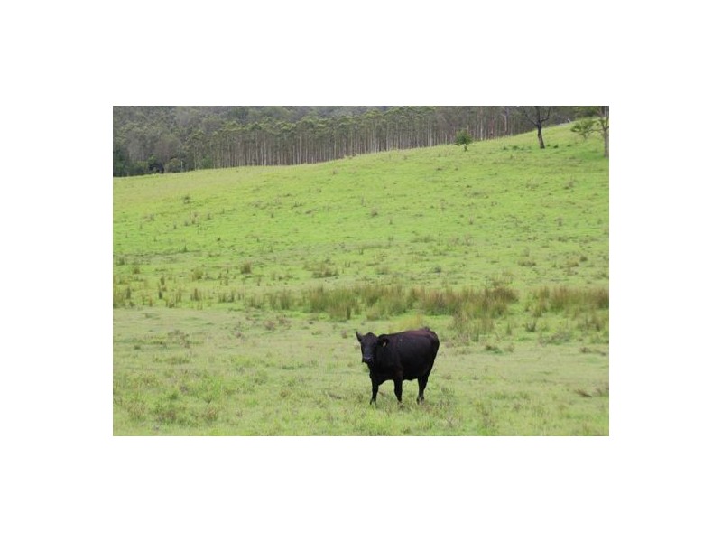 lot 19 Pigman Road, Casino NSW 2470
