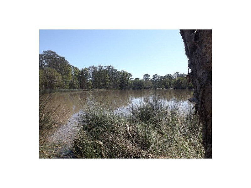 820 Tatham – Ellangowan Road Ellangowan, Casino NSW 2470