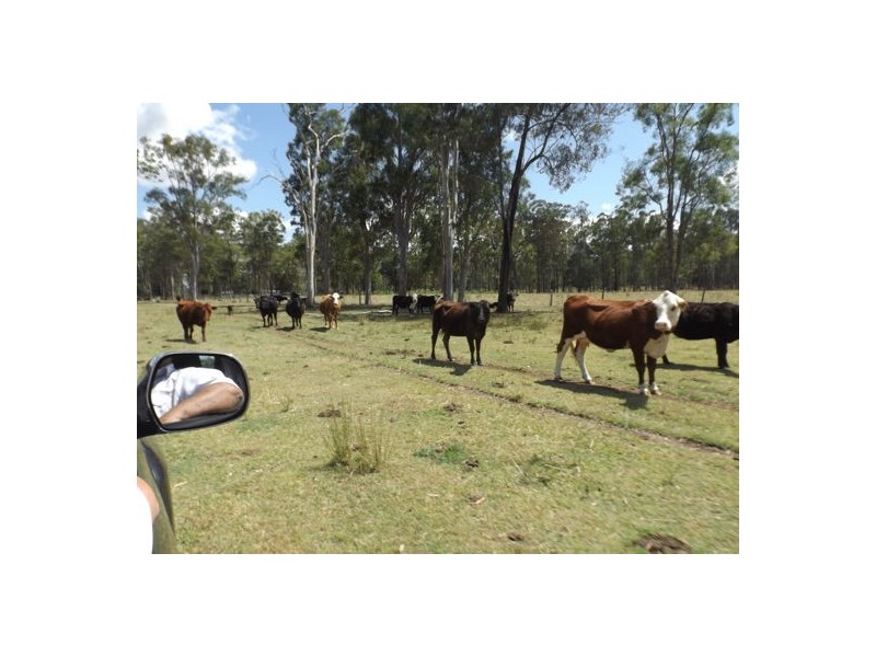 820 Tatham – Ellangowan Road Ellangowan, Casino NSW 2470