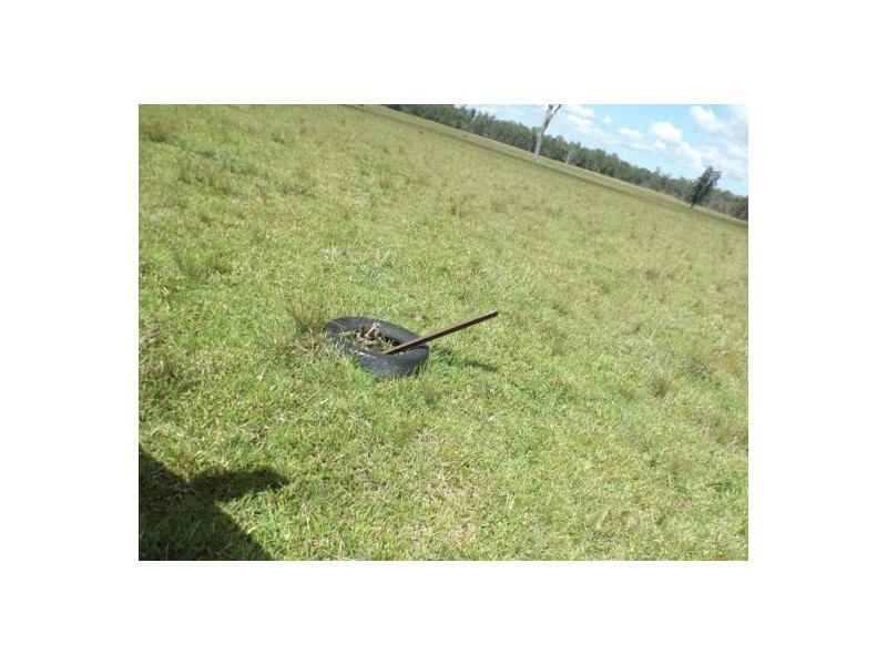 820 Tatham – Ellangowan Road Ellangowan, Casino NSW 2470