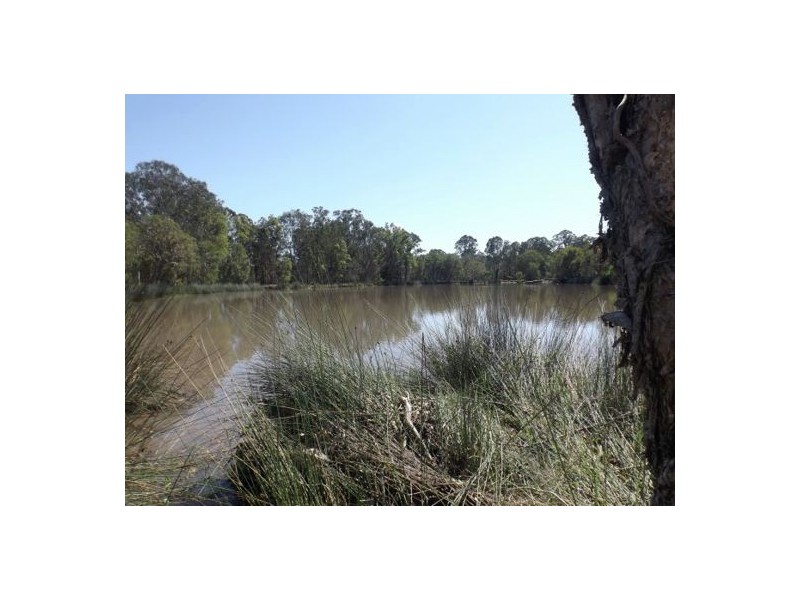 820 Tatham – Ellangowan Road Ellangowan, Casino NSW 2470