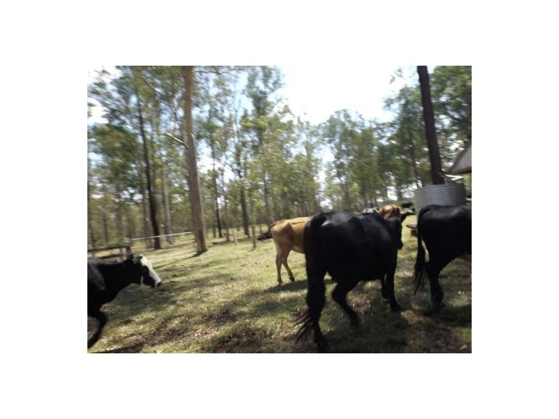 820 Tatham – Ellangowan Road Ellangowan, Casino NSW 2470