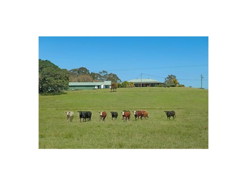 395 Mongogarie Road, Casino NSW 2470