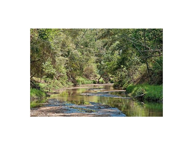 395 Mongogarie Road, Casino NSW 2470