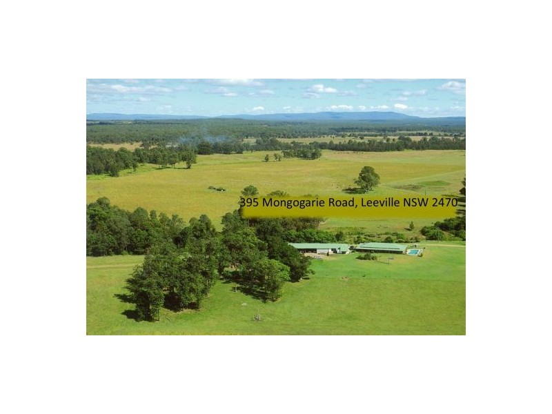 395 Mongogarie Road, Casino NSW 2470