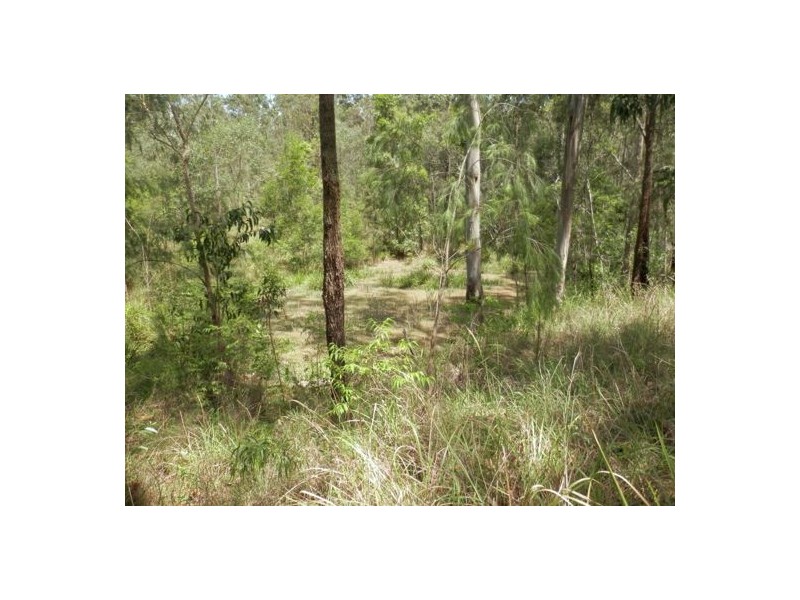 Lot 24 Bellbird Road, Drake NSW 2469
