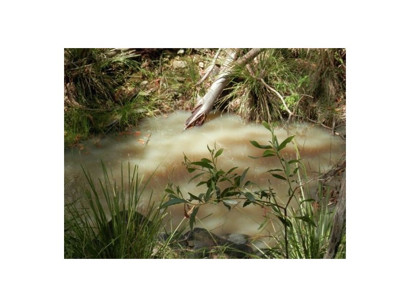 Lot 24 Bellbird Road, Drake NSW 2469