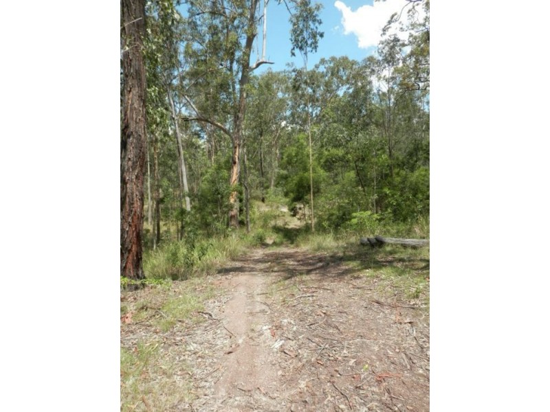 Lot 24 Bellbird Road, Drake NSW 2469