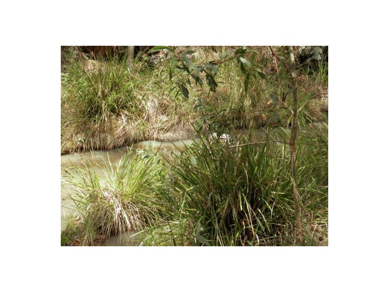 Lot 24 Bellbird Road, Drake NSW 2469