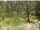 Drake NSW 2469