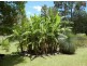 Drake NSW 2469