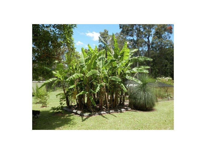 Drake NSW 2469