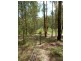 Drake NSW 2469
