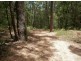 Drake NSW 2469